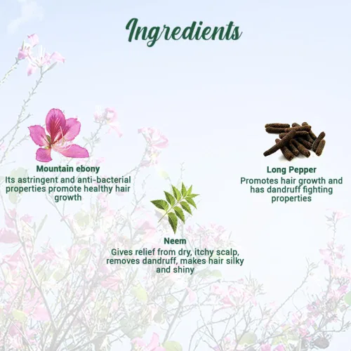 Miniatura 4 de Biotique Bio Mountain Ebony Vitalizing Serum Para Cabello Intensivo Caído