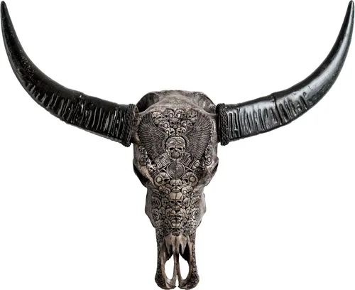 Miniatura 13 de Skull Bliss - Auténtica calavera de búfalo tallada a mano de taxidermia real/Decoración de pared única con calavera de toro real/Decoración genuina