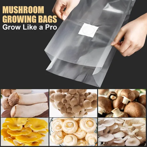 Miniatura 7 de Bolsas de desove de hongos, 20 bolsas grandes extra gruesas de 6 mil, bolsas de cultivo de hongos de 8 x 5 x 20 pulgadas, bolsa sellable de sustrato