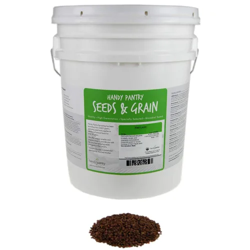 Miniatura 10 de Semilla de germinación de lentejas verdes secas orgánicas: 2.5 lb - Lentejas secas para plantar semillas de jardín, sopa, cocinar o ensalada