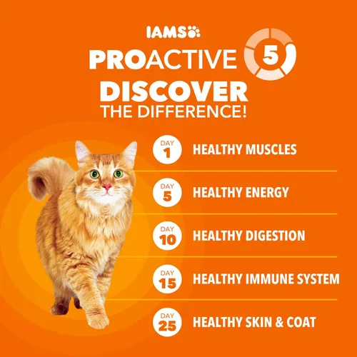Miniatura 6 de Comida seca IAMS Proactive Health para gatos adultos con cuidado de bolas de pelo con pollo y salmón, bolsa de 3.5 lb