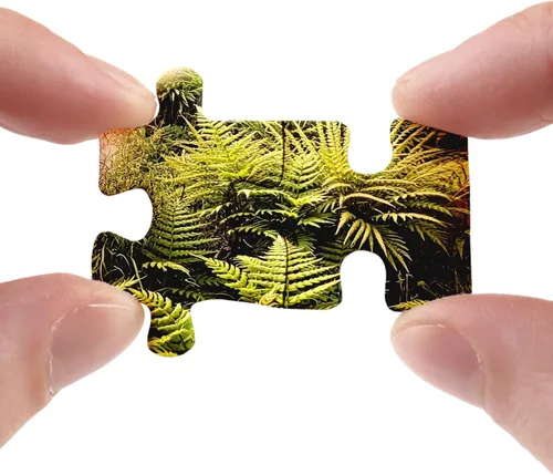 Miniatura 3 de Book Forest - Rompecabezas de 1000 piezas para adultos, diseño de plantas de fantasía, rompecabezas verde acogedor de árbol
