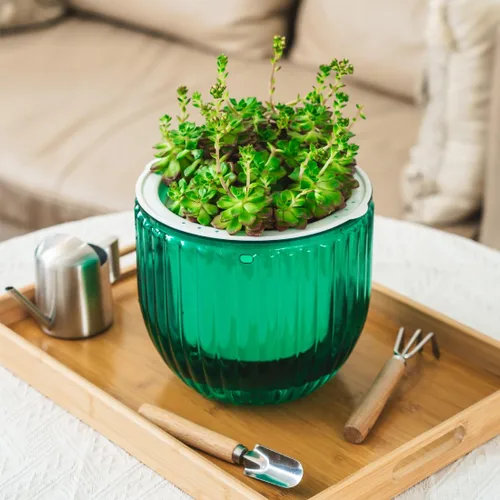 Miniatura 5 de Melphoe 1 paquete de macetas colgantes con riego automático para interiores, 21 cm de macetas colgantes para exteriores, colgador de plantas con 3