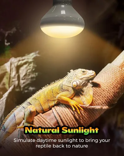 Miniatura 4 de Lámpara de calor para reptiles, simulación de luz solar natural, paquete de 2 bombillas de calor de 100 W para anfibios de 100 W, para reptiles