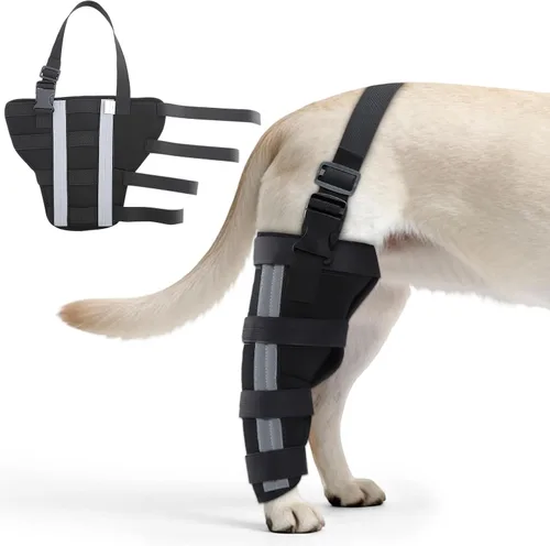 Miniatura 9 de Rodilleras ortopédicas para perros, rodillera para perro para ligamento cruzado y soporte de pierna trasera, soporte canino para recuperación