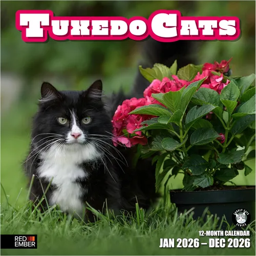 Miniatura 8 de RED EMBER Calendario de pared de gatos 2026 de 12 meses 12 x 24 pulgadas abierto Papel grueso y resistente Regalo de vacaciones Lindo