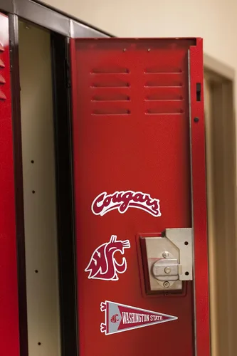 Miniatura 5 de Paquete variado de calcomanías de vinilo de 8 quilates de la Universidad Estatal de Washington State University, tamaño grande, para laptop, botella
