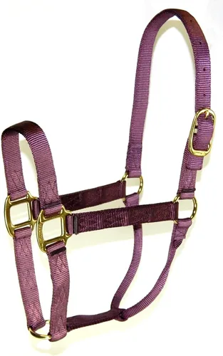 Miniatura 16 de Hamilton Quality Horse Halter, nailon de triple capa de 1 pulgada, anilla o burro estándar, 300-500 libras, rojo Rojo (Red Brick)