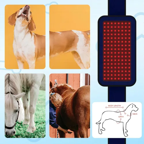 Miniatura 5 de Cinturón de terapia de luz infrarroja roja para aliviar el dolor de mascotas, dispositivo portátil de terapia con láser frío para reparación