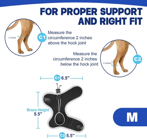 Miniatura 4 de Muñuelos para perros para hiperflexión de falanges causada por daño del nervio ciático y deformidad flexional carpiana - Correas de bloqueo dobles