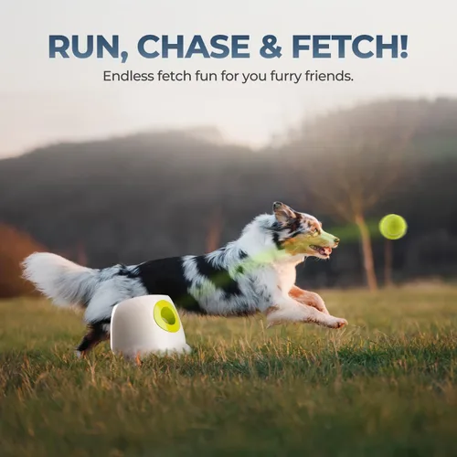Miniatura 9 de ALL FOR PAWS Lanzador automático de bolas para perros, máquina interactiva para cachorros, bolas para mascotas, para exteriores, 6 bolas incluidas