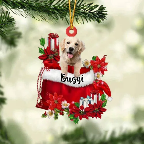 Miniatura 175 de Perro Akita Inu personalizado en bolsa de regalo, adorno de Navidad, nombre personalizado, regalo para amantes de los perros, familia, Navidad
