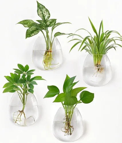 Miniatura 6 de Dahey - Estaciones de propagación para colgar en la pared, macetas de vidrio para plantas, jarrones oblatos montados en la pared, terrario