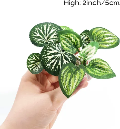 Miniatura 4 de Decoraciones de acuario de peces con ventana de visualización para decoración de peceras Betta Verde 2