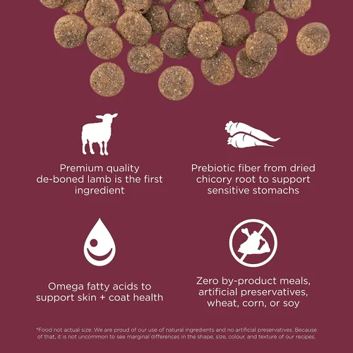 Miniatura 3 de Go! Solutions Sensitivities - Alimento seco para perros de cordero sin granos con ingredientes limitados, croquetas sin pollo fabricadas por