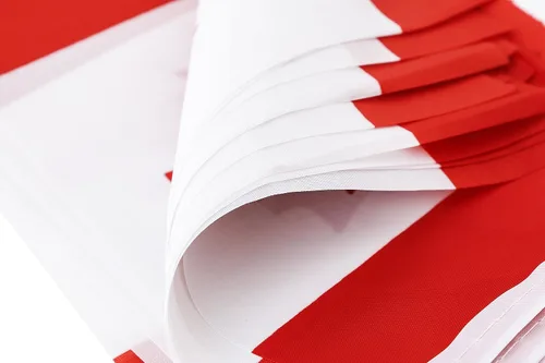 Miniatura 4 de Bandera de Canadá, bandera canadiense, 100 pies/76 unidades de banderines nacionales del mundo del país, suministros de decoración de fiesta