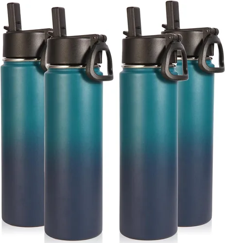 Volhoply Botellas de agua aisladas con popote a granel, paquete de 4, botellas deportivas de acero inoxidable de 22 onzas con asa, tazas de agua de