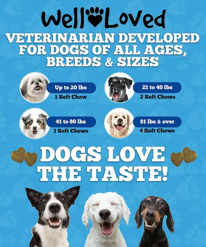Miniatura 6 de Well Loved Probióticos para perros, probióticos para perros, fabricados en Estados Unidos, desarrollados por veterinarios para la salud intestinal