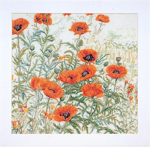 Thea Gouverneur - Kit de punto de cruz, amapolas naranjas, Aida, 16 unidades, kit de bordado para adultos, hilos de bordado DMC y otros suministros