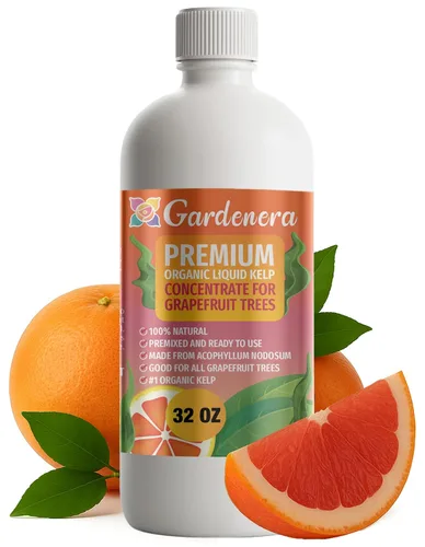 Miniatura 90 de GARDENERA Superalimento orgánico prémium de algas marinas y algas marinas para plantas AGLAONEMA, 8 onzas, concentrado de fertilizante líquido
