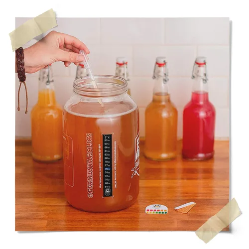 Miniatura 8 de Fermentaholics Kombucha SCOBY ORGÁNICO con doce onzas de té de iniciación – Cultivo de inicio en vivo – hace un lote de un galón – 1.5 tazas de té