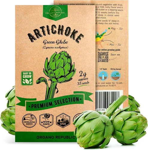Miniatura 10 de Organo Republic Paquete de Semillas de Lechuga Hoja de Roble 1 G - Más de 800 Semillas de Lechuga Reliquia Sin OMG para Plantar Verduras en Paquete