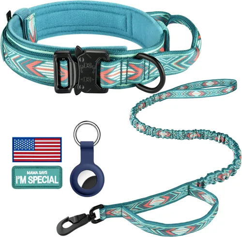 Miniatura 38 de DAGANXI Collar táctico para perro, collar ajustable de nailon para entrenamiento militar con asa de control y hebilla de metal pesado para perros