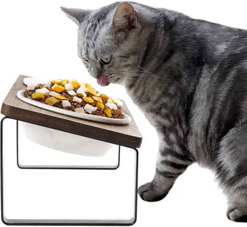 Sunhoo Cuencos elevados de cerámica para gatos, platos elevados para cachorros para alimentos y agua, soporte de madera inclinado para gatos de