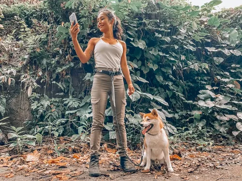 Miniatura 9 de Tuff Pupper Correa de perro resistente manos libres Un perro pequeño/mediano de hasta 45 libras Cómodo elástico absorbente de golpes Asas