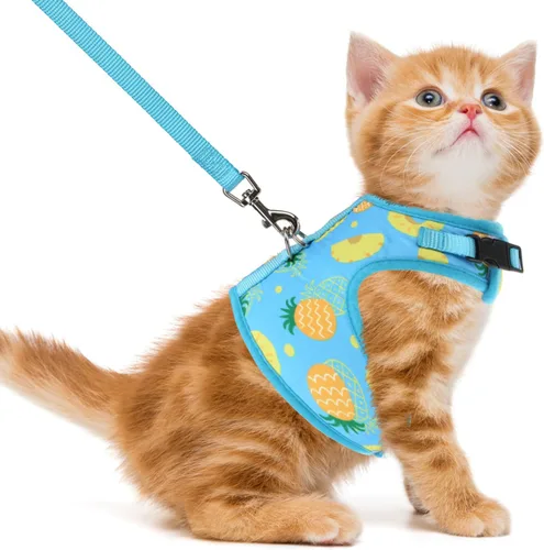 Miniatura 28 de PUPTECK Juego de arnés y correa de malla suave para gatos, arnés acolchado para mascotas, a prueba de escape, para gatos, perros pequeños, conejos