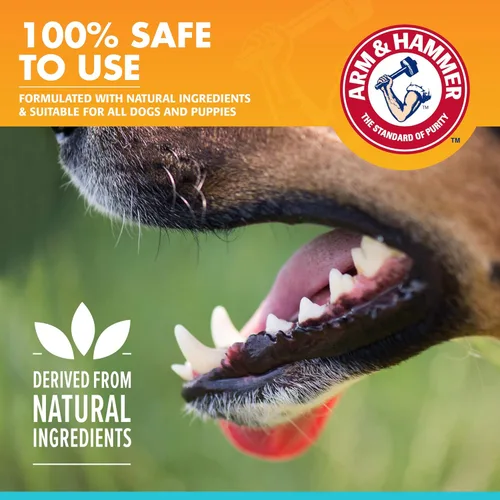 Miniatura 4 de Arm & Hammer para mascotas Aerosol de cuidado bucal para perros - Aerosol refrescante del aliento y limpieza de dientes - Ambientador de aliento