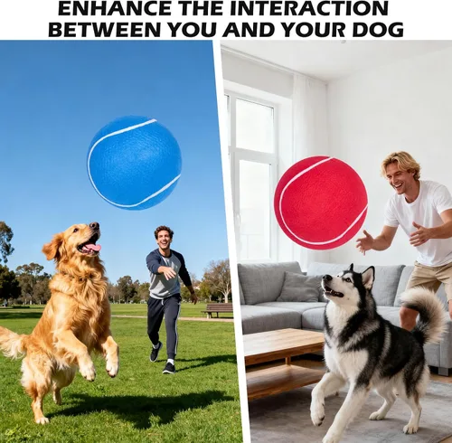 Miniatura 5 de EXPAWLORER Pelotas de tenis gigantes para perros – 2 pelotas interactivas de 9.5 pulgadas para entrenamiento en interiores y exteriores, juguetes