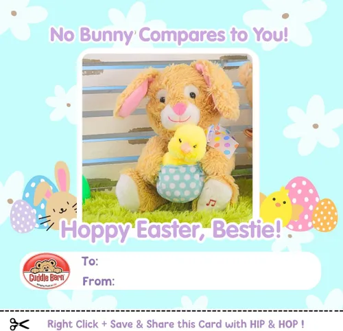 Miniatura 10 de Cuddle Barn - Hip & Hop Juguete de peluche interactivo animado conejo de Pascua que sostiene pollo en huevo canta y golpea a Peter Cottontail