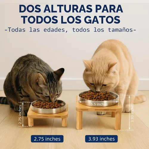 Miniatura 3 de DoogCat Cuencos elevados para gatos de interior – Soporte elevado de bambú para gatos con platos de acero inoxidable de 5.5 pulgadas de ancho, plato