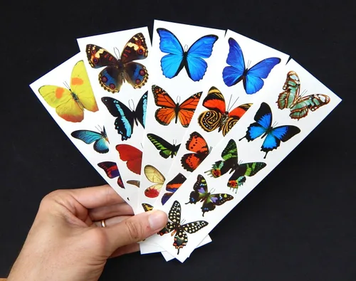 Miniatura 2 de Tatuajes de mariposa temporales coloridos - 5 hojas - por Butterfly Utopia