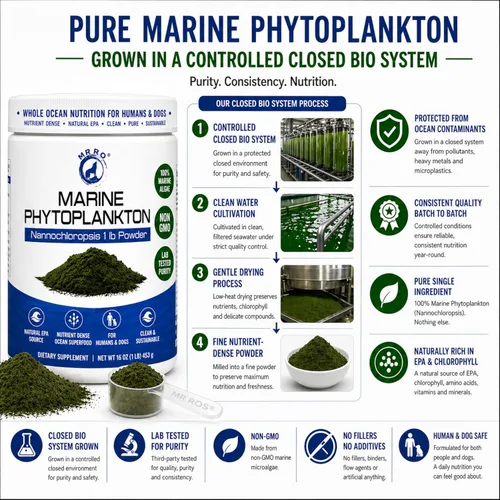 Miniatura 6 de Polvo de fitoplancton marino de 1 libra - Superalimento oceánico denso en nutrientes para humanos y perros - Fuente natural de EPA - Microalgas
