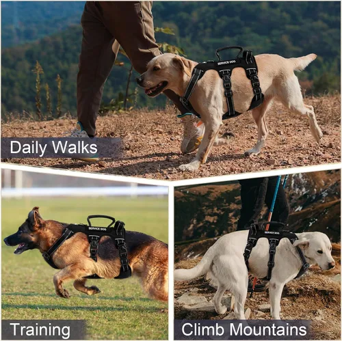 Miniatura 8 de Arnés para perro a prueba de escape para perros grandes y medianos de seis puntos ajustable, juego de chaleco arnés y correa para perro de servicio