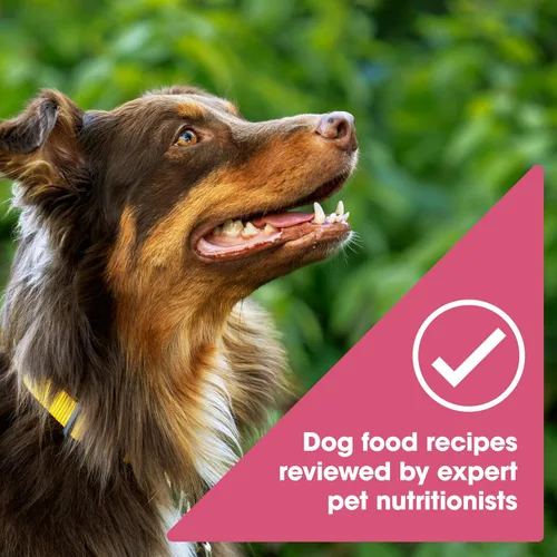 Miniatura 5 de Comida seca Nature's Recipe para perro libre de granos
