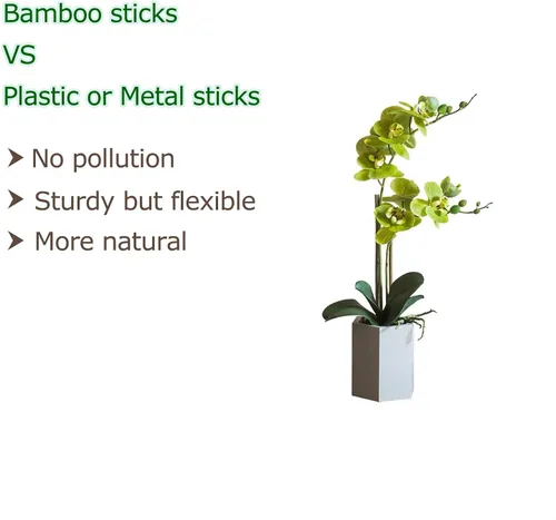 Miniatura 4 de Cambaverd 40 piezas de palos de bambú natural para plantas de interior y exterior, estacas de soporte de 16 pulgadas para tomate, frijoles, plantas