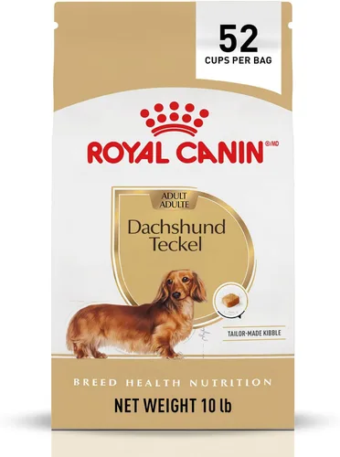 Alimento seco para perros Royal Canin Breed Health Nutrition para Dachshund adulto, bolsa de 10 lb