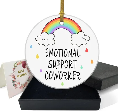REWIDPARTY Divertidos regalos para compañeros de trabajo para mujeres, recuerdo de placa de cerámica de apoyo emocional, regalos de cumpleaños de