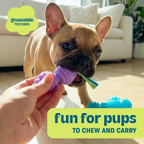 Miniatura 4 de Petstages Mini Orka - Par de juguetes masticables para perros con huesos y mancuernas, paquete de 2