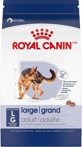 Miniatura 13 de Royal Canin Size Health Nutrition Alimento Seco para Perros Adultos de Raza Grande, Bolsa de 30 lb