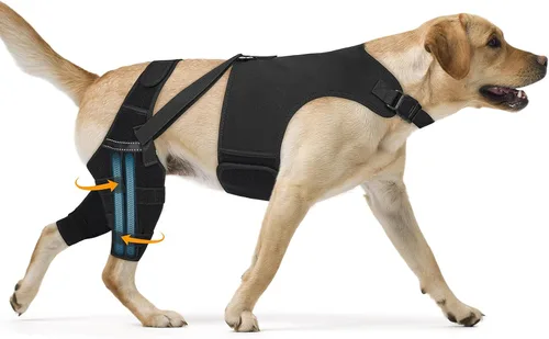 Rodillera para perro para pierna trasera desgarrada, ajustable para pierna trasera con 4 estabilizadores, soporte de cadera para reducir el dolor,