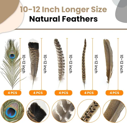 Miniatura 3 de MARRTEUM 5 estilos de plumas naturales de 10 a 12 pulgadas, 20 piezas de plumas grandes surtidas de pavo real de faisán y pavo real, decorativas a