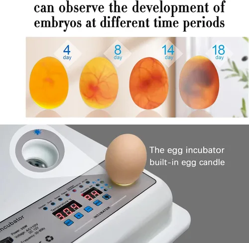 Miniatura 3 de Incubadoras para incubar huevos, incubadora de huevos con giro automático de huevos y control de humedad, incubadora de huevos para huevos