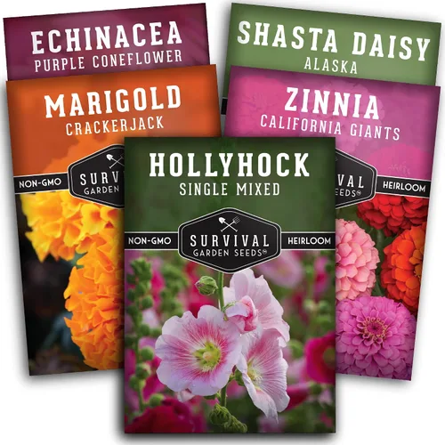 Colección de 5 semillas de flores para plantar - Zinnia, caléndula, equinácea, margarita y hollyhock - Paquete de regalo de polinizador sin OMG y
