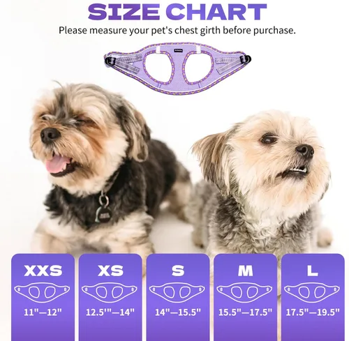 Miniatura 2 de Rttochfy Arnés para perro pequeño, arnés suave y reflectante para cachorro, arnés y correa para perros de tamaño pequeño, entrenamiento y caminar