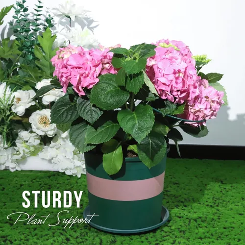 Miniatura 7 de LEOBRO Soporte para Plantas, 8 Jaulas y Soportes de Peonías, Estacas para Plantas de Interior, Plantas al Aire Libre, Soportes para Plantas, Jaula