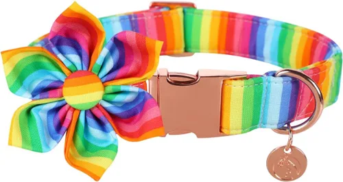 Miniatura 47 de DOGWONG Collar de perro arcoíris con bonito lazo para el Mes del Orgullo LGBT - Collar ajustable y cómodo para perros grandes, medianos y pequeños